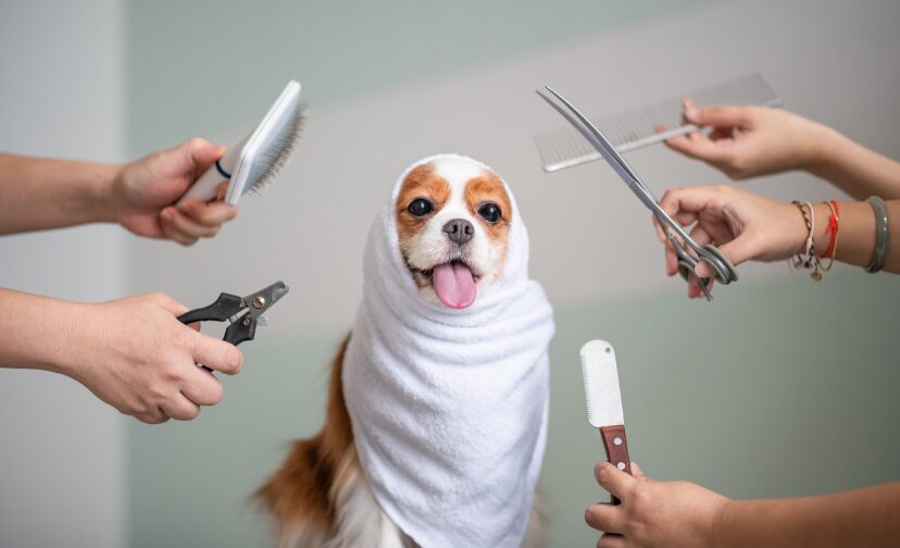 犬用トリミングシザー